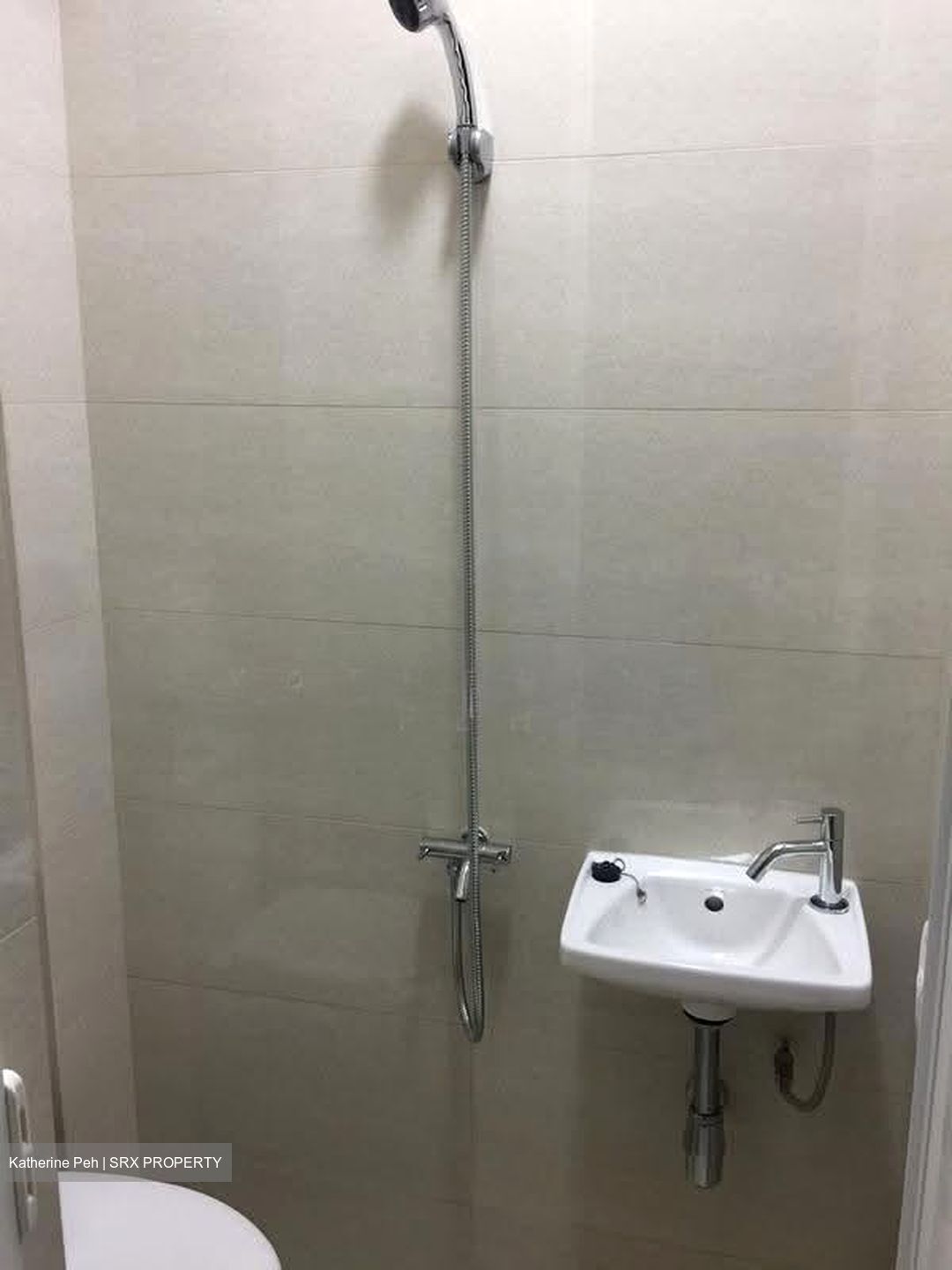 High Park Residences (D28), Apartment #607748771